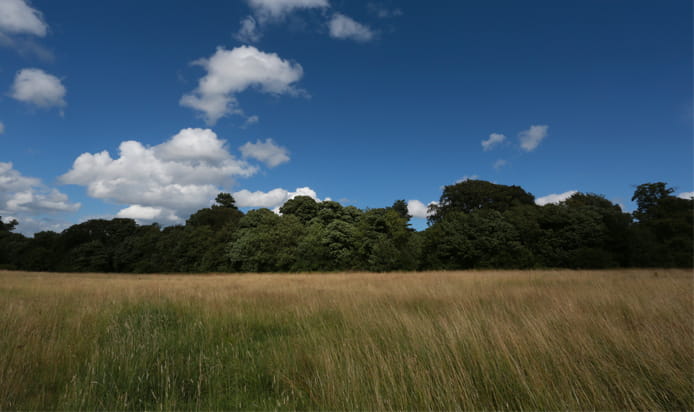Strategic landbank